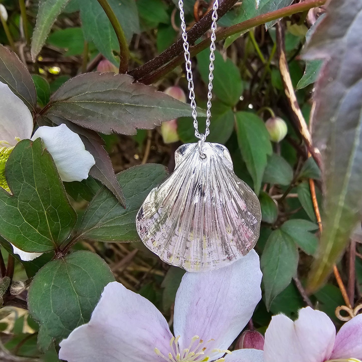 Cockle shell fine silver pendant necklace, markings and impression from a real shell.
